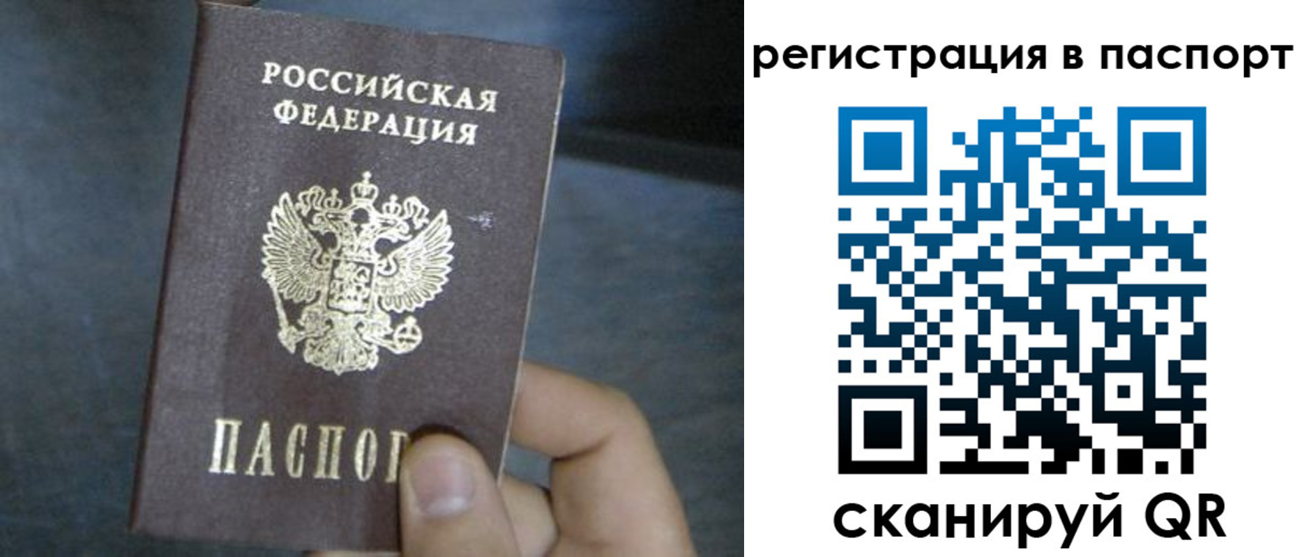 прописка 2025 в Калуге